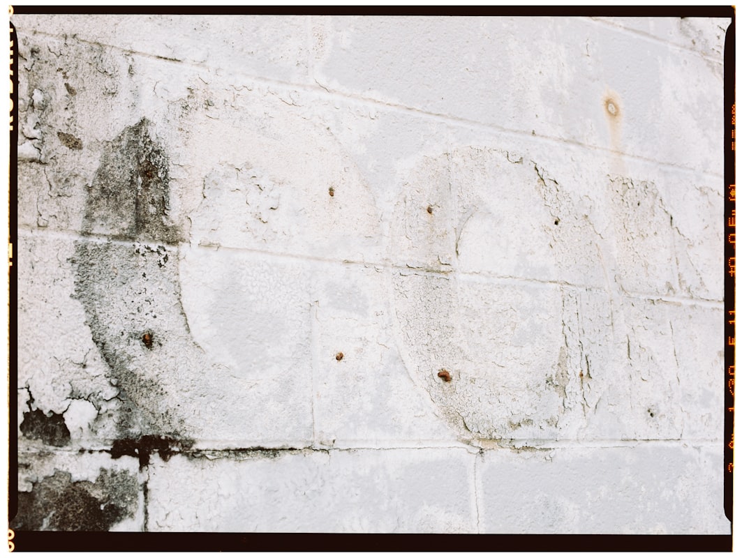 Mold Remediation service in Sunnyvale, CA