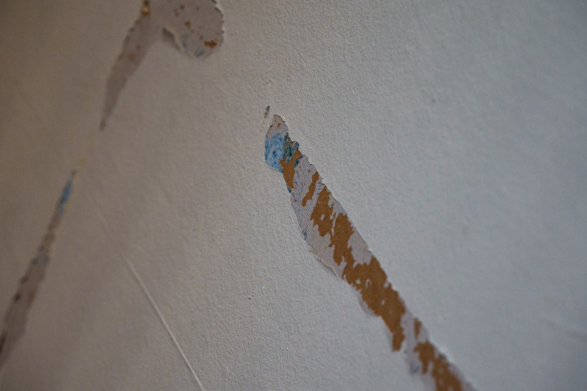 Basement Water Removal service in Sunnyvale, CA